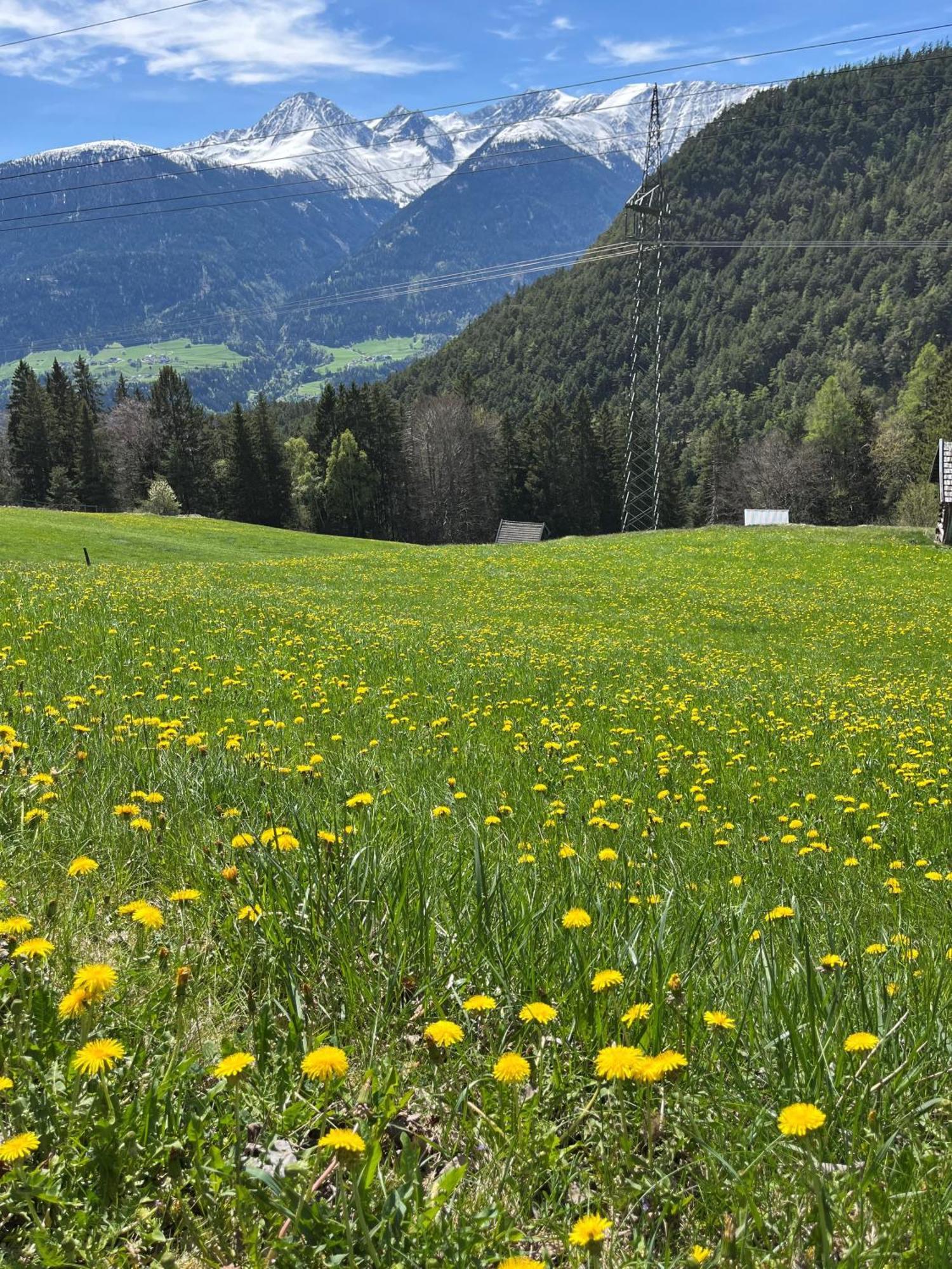 Meilerhof Reith bei Seefeld Dış mekan fotoğraf
