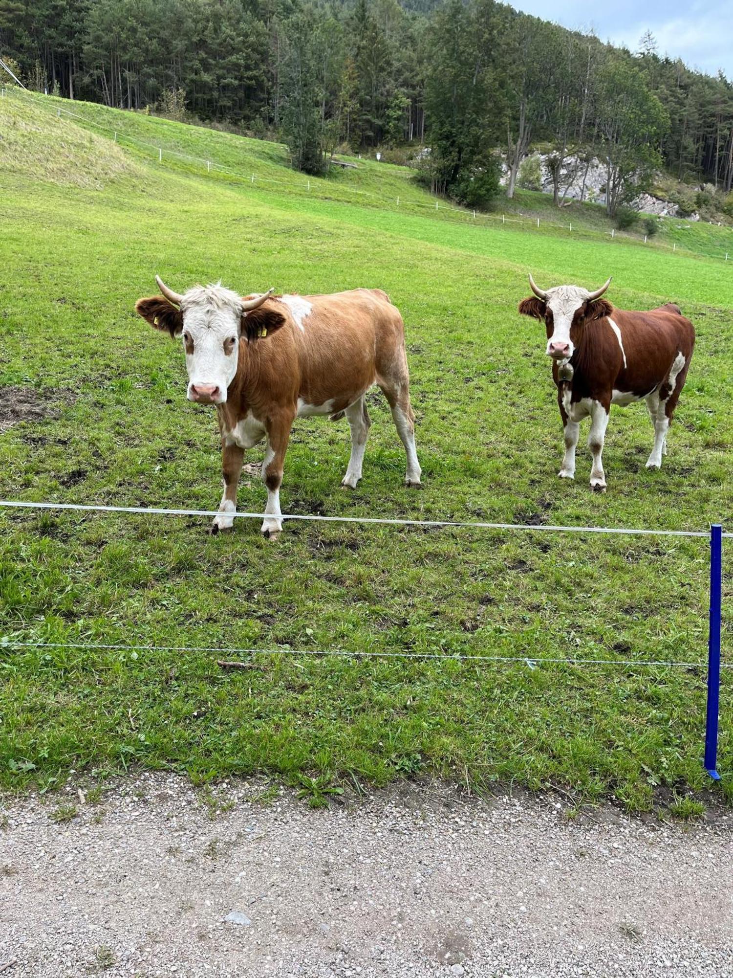 Meilerhof Reith bei Seefeld Dış mekan fotoğraf