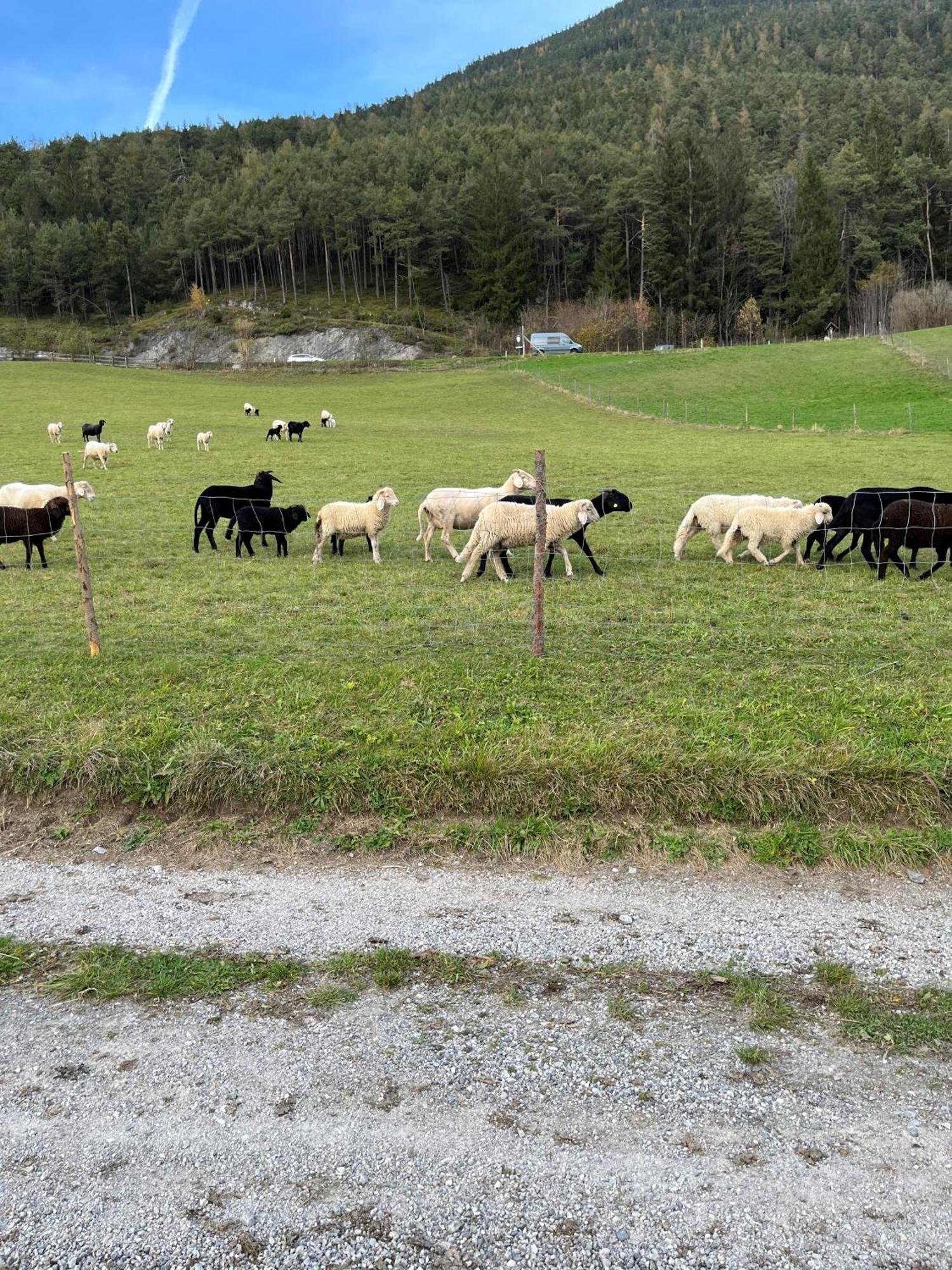 Meilerhof Reith bei Seefeld Dış mekan fotoğraf