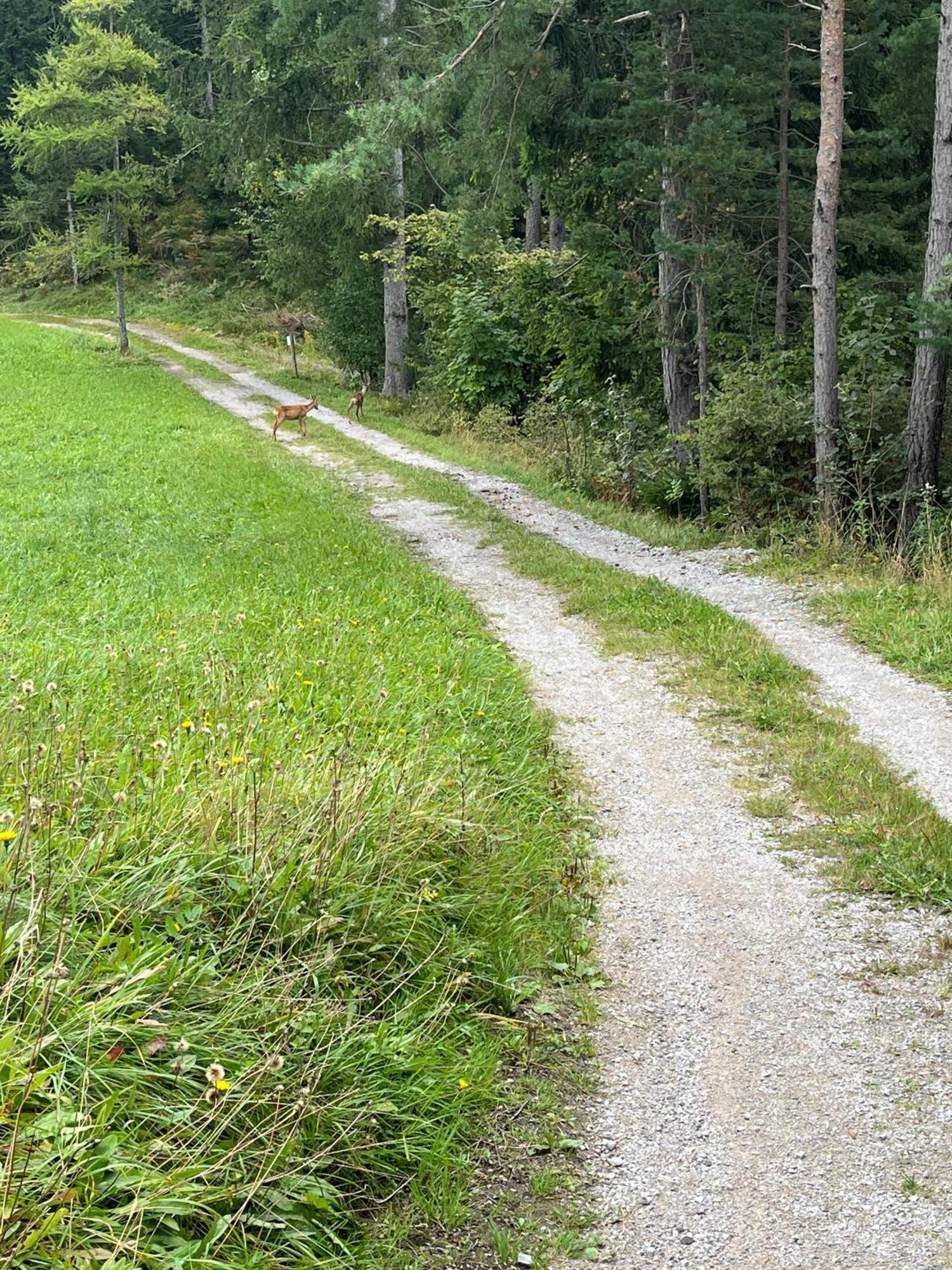 Meilerhof Reith bei Seefeld Dış mekan fotoğraf